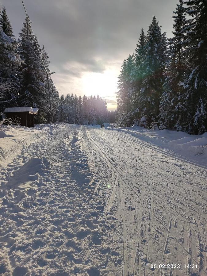 شقة Nordgards Hagen ليلّيهامّير المظهر الخارجي الصورة