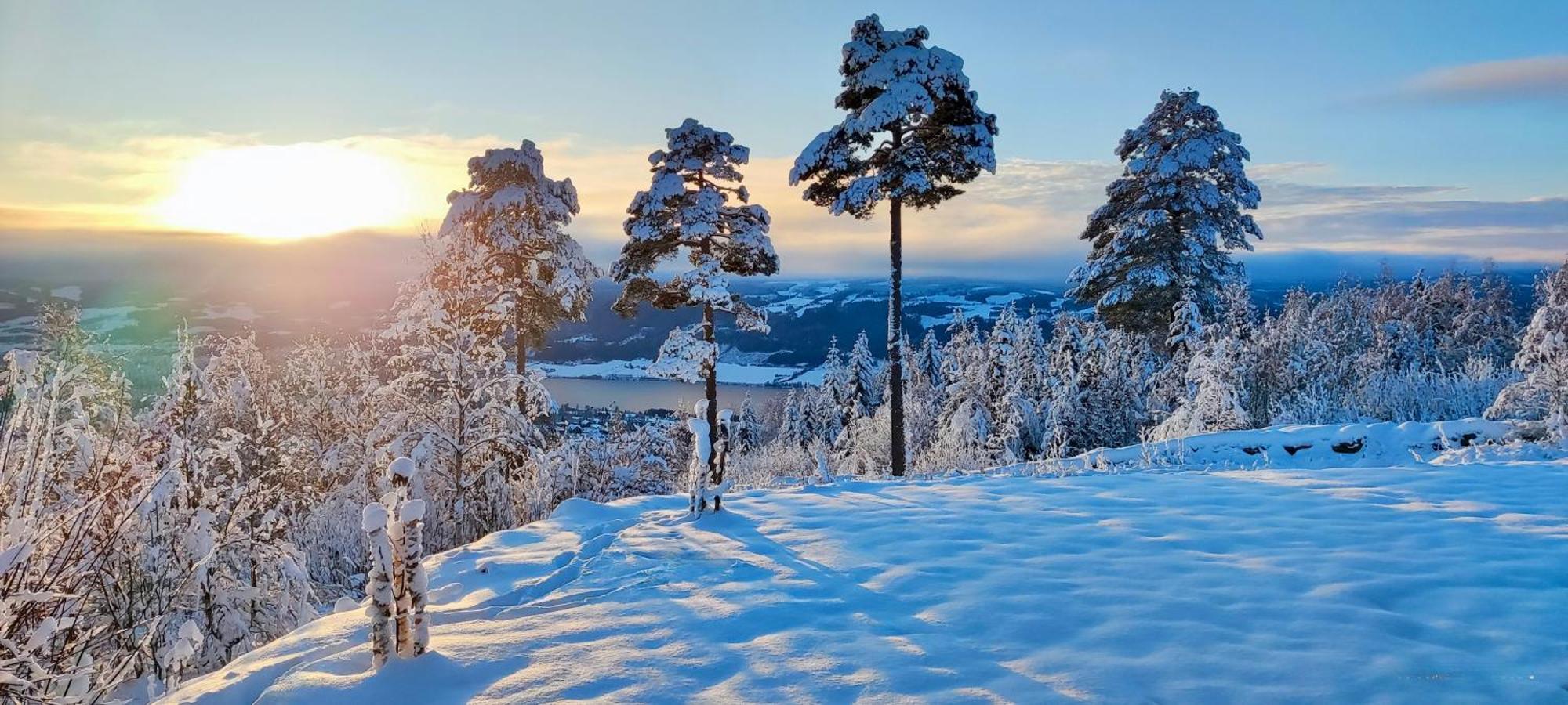 شقة Nordgards Hagen ليلّيهامّير المظهر الخارجي الصورة